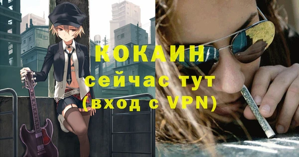 apvp Богородицк