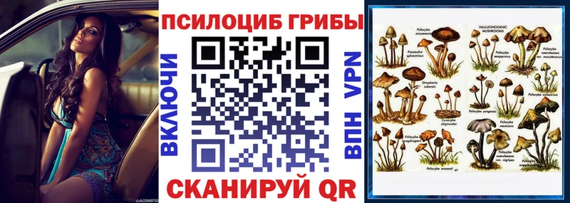 Галлюциногенные грибы прущие грибы  Няндома 